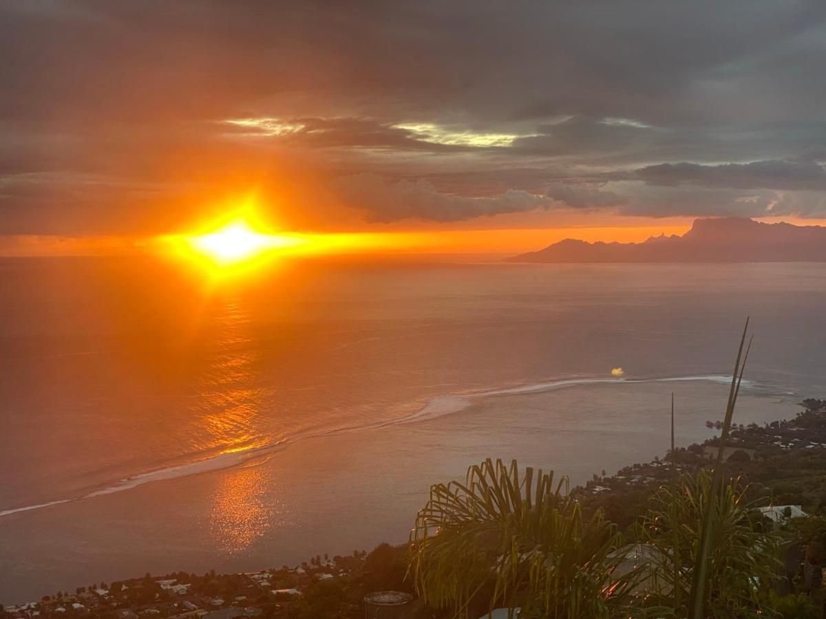 Globe Trotter Lodge Tahiti Пунаауйя Экстерьер фото